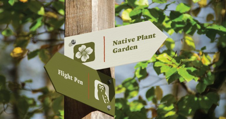 vienna sauvage website-icons-mockup