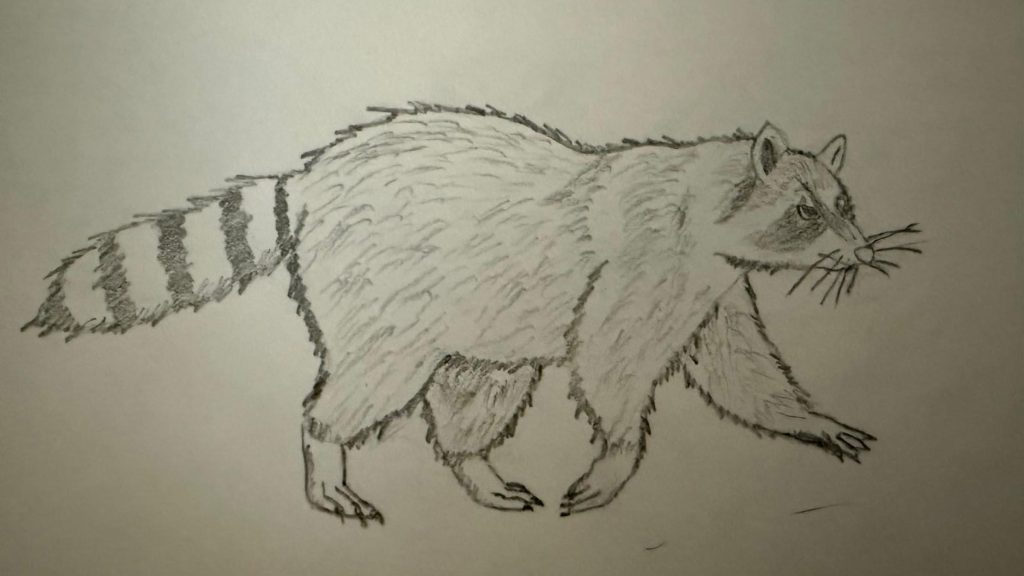 venkata-subhash-hand-art