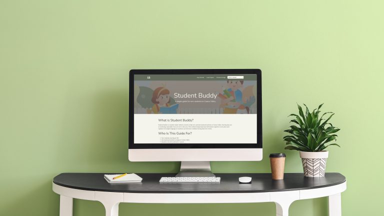 manish-bedi-project-summary