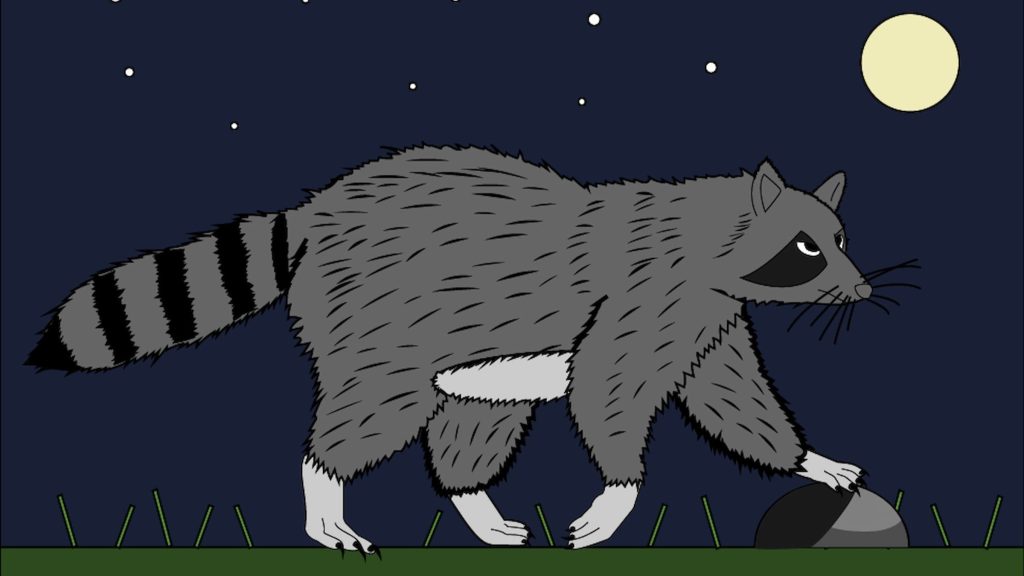 venkata-subhash-racoon-illustration