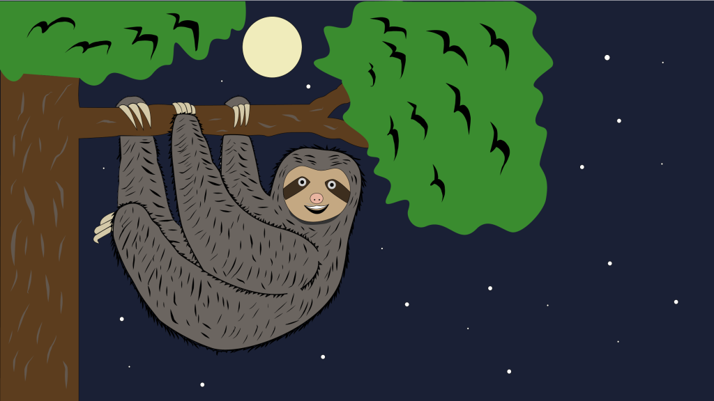 venkata-subhash-sloth